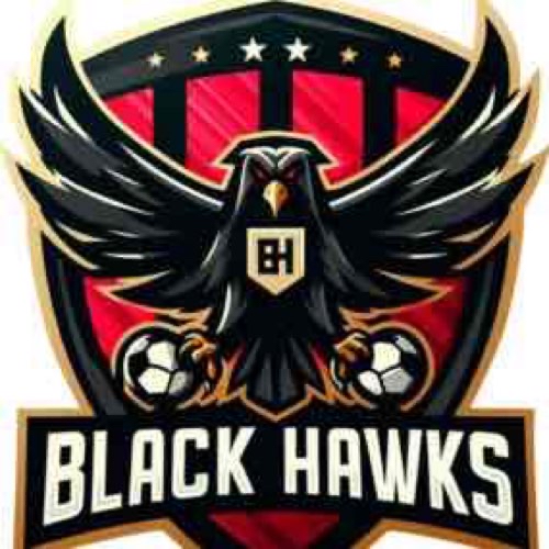 Black Hawks