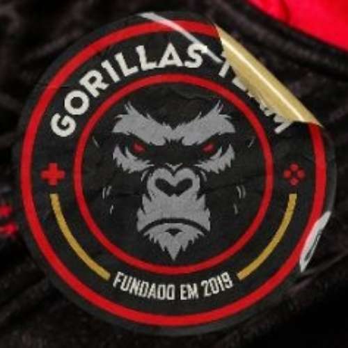 Gorillas Team