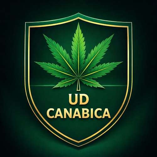 UD Canabica