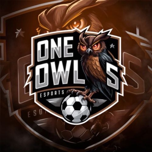 One Owls